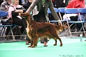 Crufts2011 621